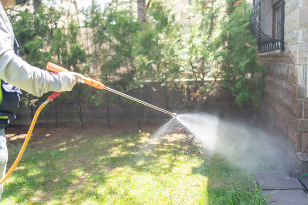 Best Pest Control Treatment  in Fkville, AL